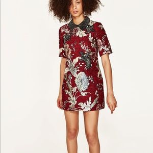 Looking for this dress!